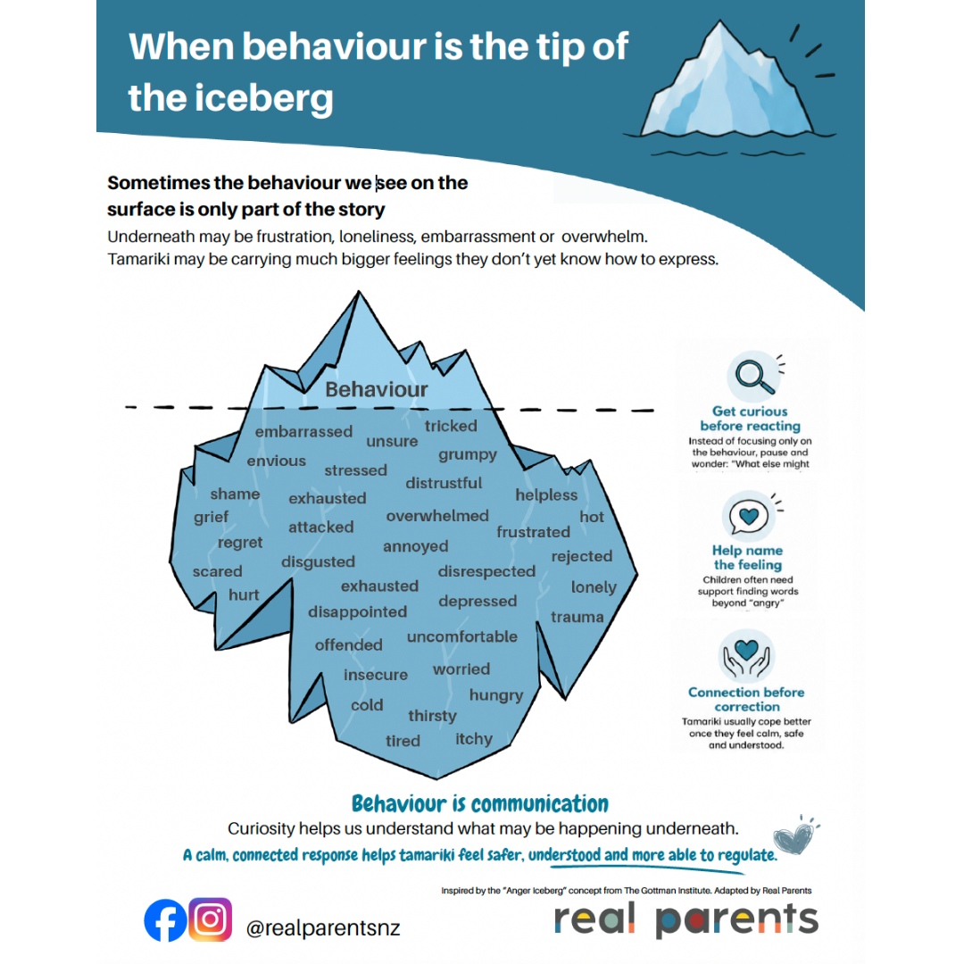 Behaviour iceberg