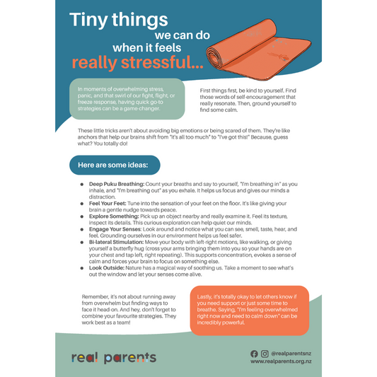 Tiny Things We Can Do When It Feels Really Stressful