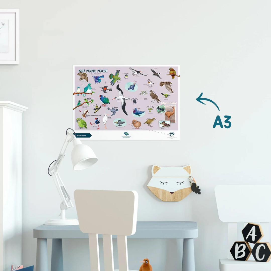 Te Reo Māori - A3 Poster - manu (native birds)