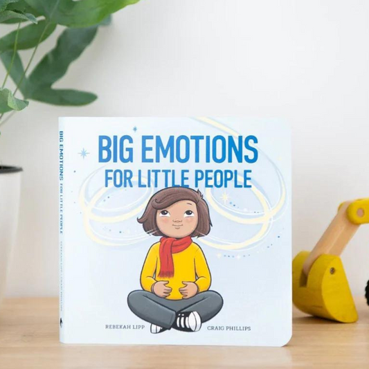 Big emotions for little people - board book